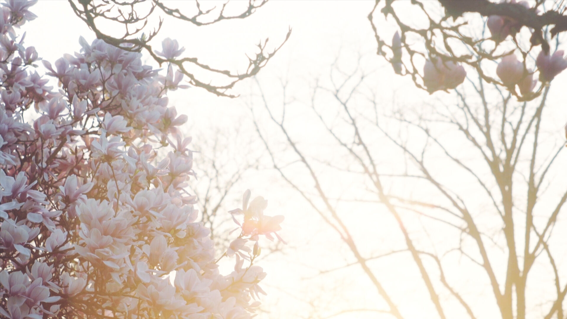 ภาพขนาดย่อ